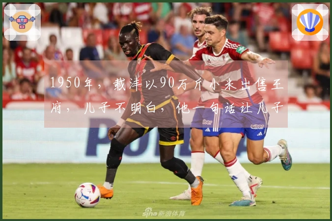 1950年，载沣以90万斤小米出售王府，儿子不明白，他一句话让儿子无言以对