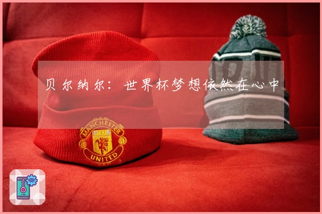 贝尔纳尔：世界杯梦想依然在心中